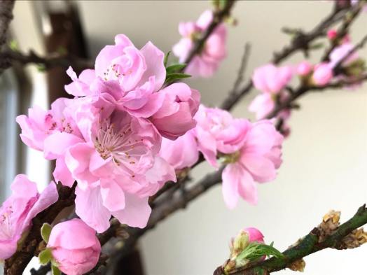 28166988_861006400690648_2052424128956462837_n