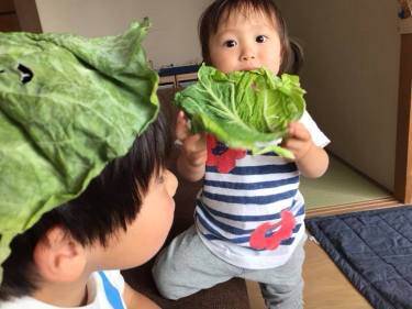 33125037_921059594685328_5228525145554944000_n