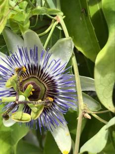 36885956_972522659539021_3011897428941996032_n