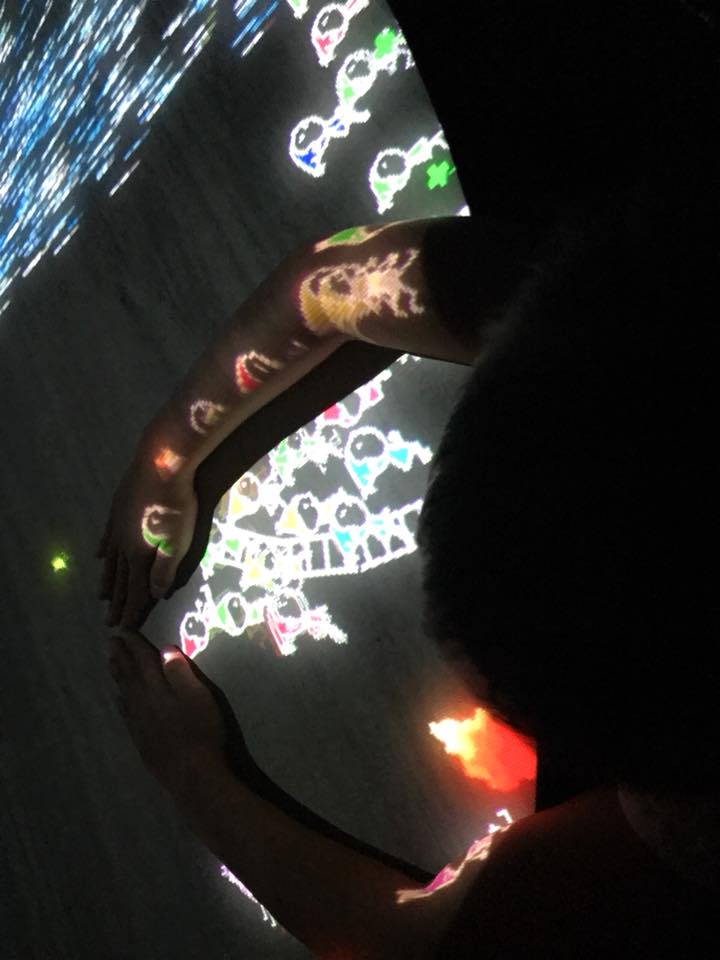 40212636_1038026312988655_607325826106523648_n