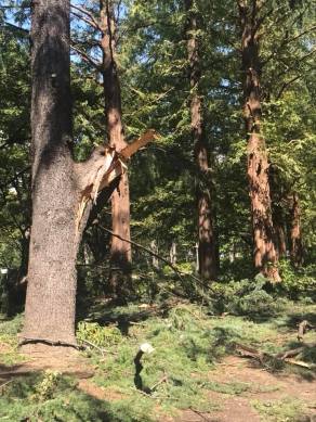 41117040_1046597118798241_7008583764540391424_n