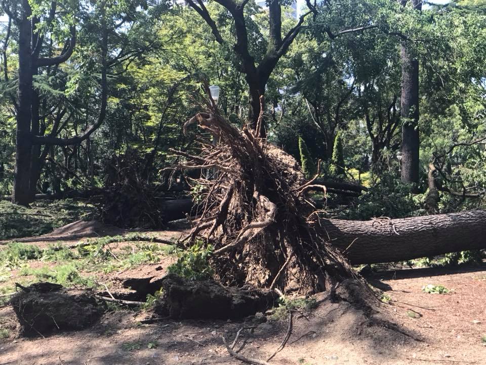 41222092_1046597215464898_452035292040265728_n