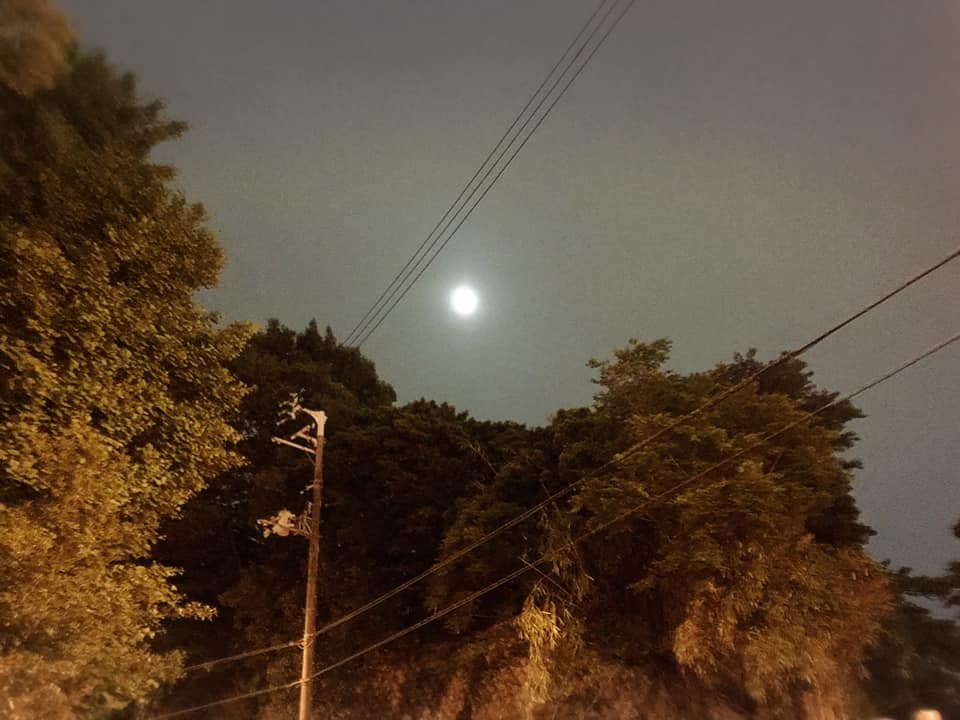 ãã®ç»åã«ã¯ alt å±æ§ãæå®ããã¦ãããããã¡ã¤ã«åã¯ 60533726_1337786066346010_8768964252124839936_n.jpg ã§ã